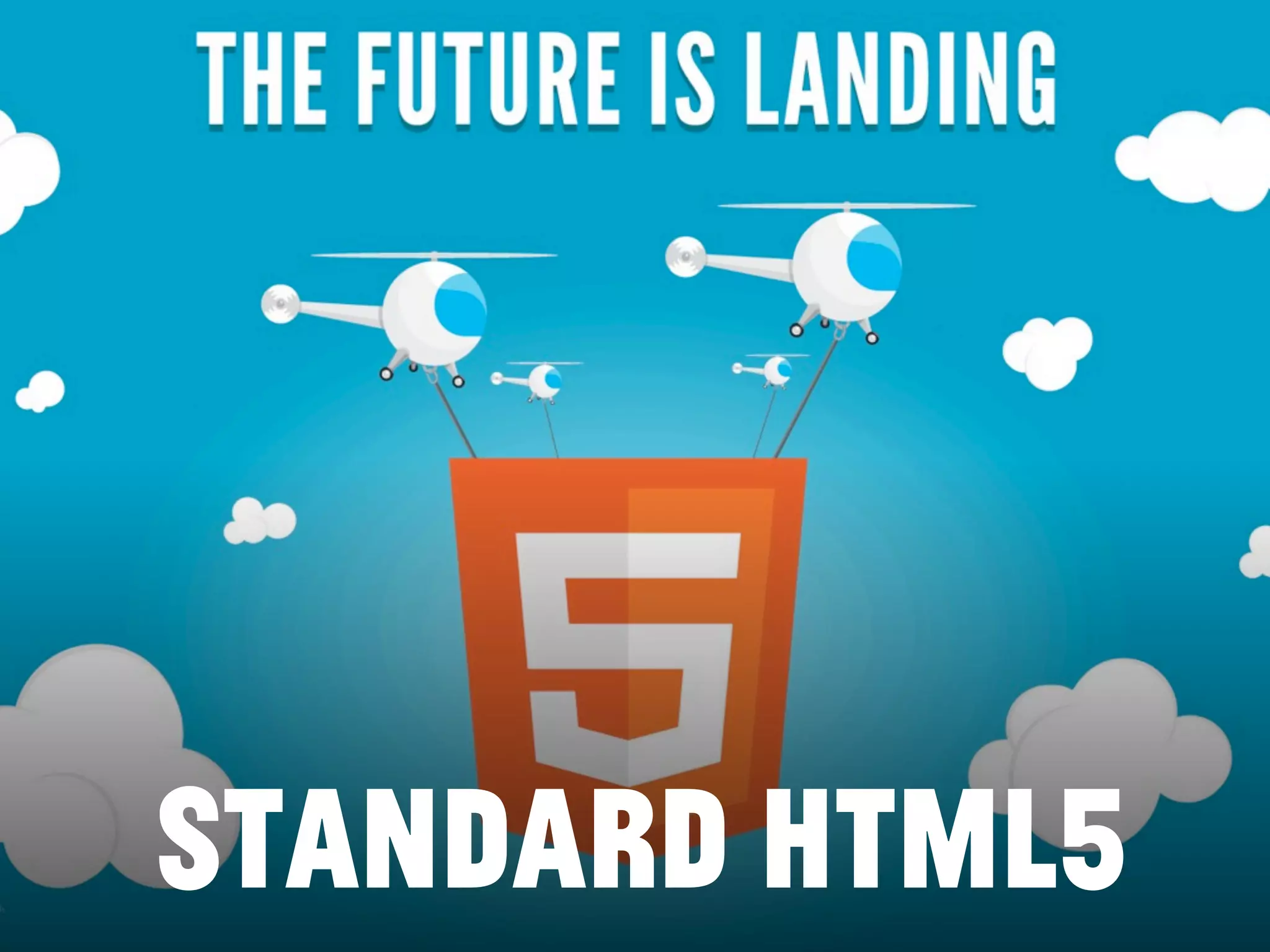 standard HTML5
 