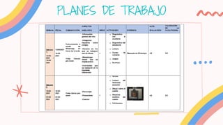 PLANES DE TRABAJO
 