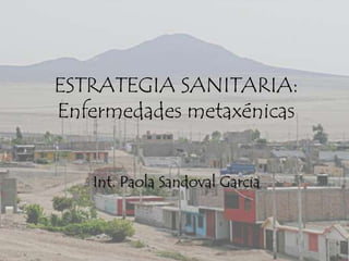 ESTRATEGIA SANITARIA:
Enfermedades metaxénicas


   Int. Paola Sandoval Garcia
 