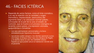 46.- FACIES ICTÉRICA
 Depende de varios factore, como el tinte cromático,
a su vez la relación con la cantidad y origen
(hemolítico, hepatocelular, obstructivo) del
pigmento biliar y la coloración normal (pálido,
sonrosada) de la piel de la cara; el estado de
nutrición, que es bueno si el proceso icterígeno es
reciente y poco grave, y la expresión animada,
quejumbrosa o comatosa.
 Los ojos permanecen semicerrados y la boca
entreabierta por hipotonía muscular.
 Las encías suelen sangrar y los dientes aparecen sucios
con fuligo, la lengua color rojo vivo (lengua de Pagel)
y el aliento tiene un olor SIU GENERIS (foetor
hepaticus) que puede satura la habitación donde está
el paciente.
 