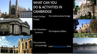 WHAT CAN YOU
DO & ACTIVITIES IN
CAMBRIDGE
King's College
Chapel
The Fitzwilliam
museum.
The university
of Cambridge
The mathematical bridge
The Anglesey Abbey
Look Milton Country Park
 