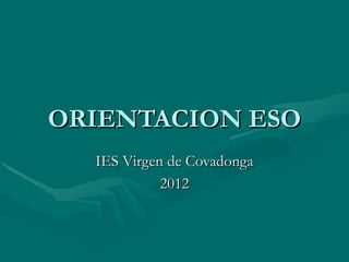 ORIENTACION ESO
  IES Virgen de Covadonga
            2012
 