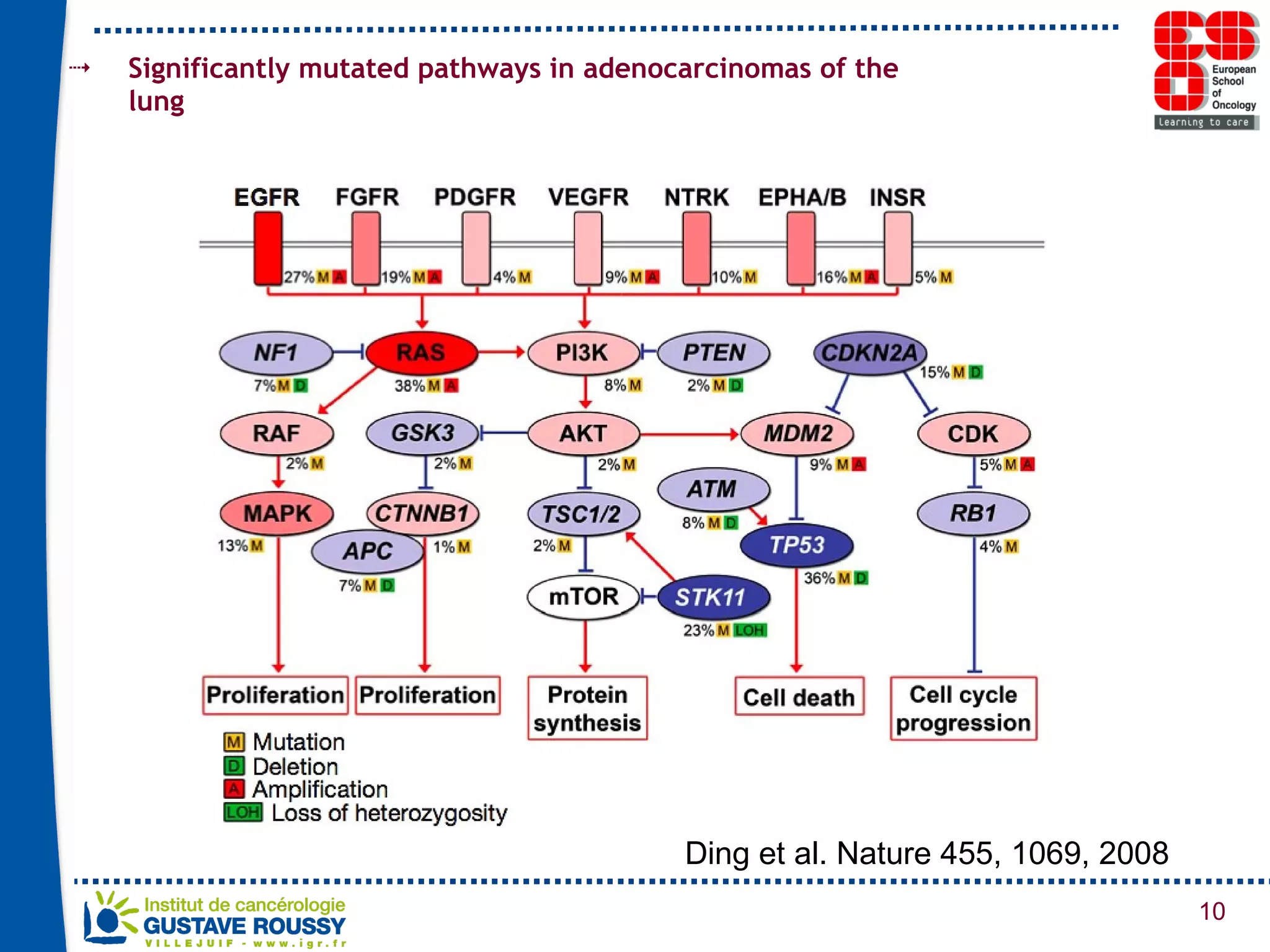 Significantly mutated pathways in adenocarcinomas of the lung Ding et al. Nature 455, 1069, 2008 