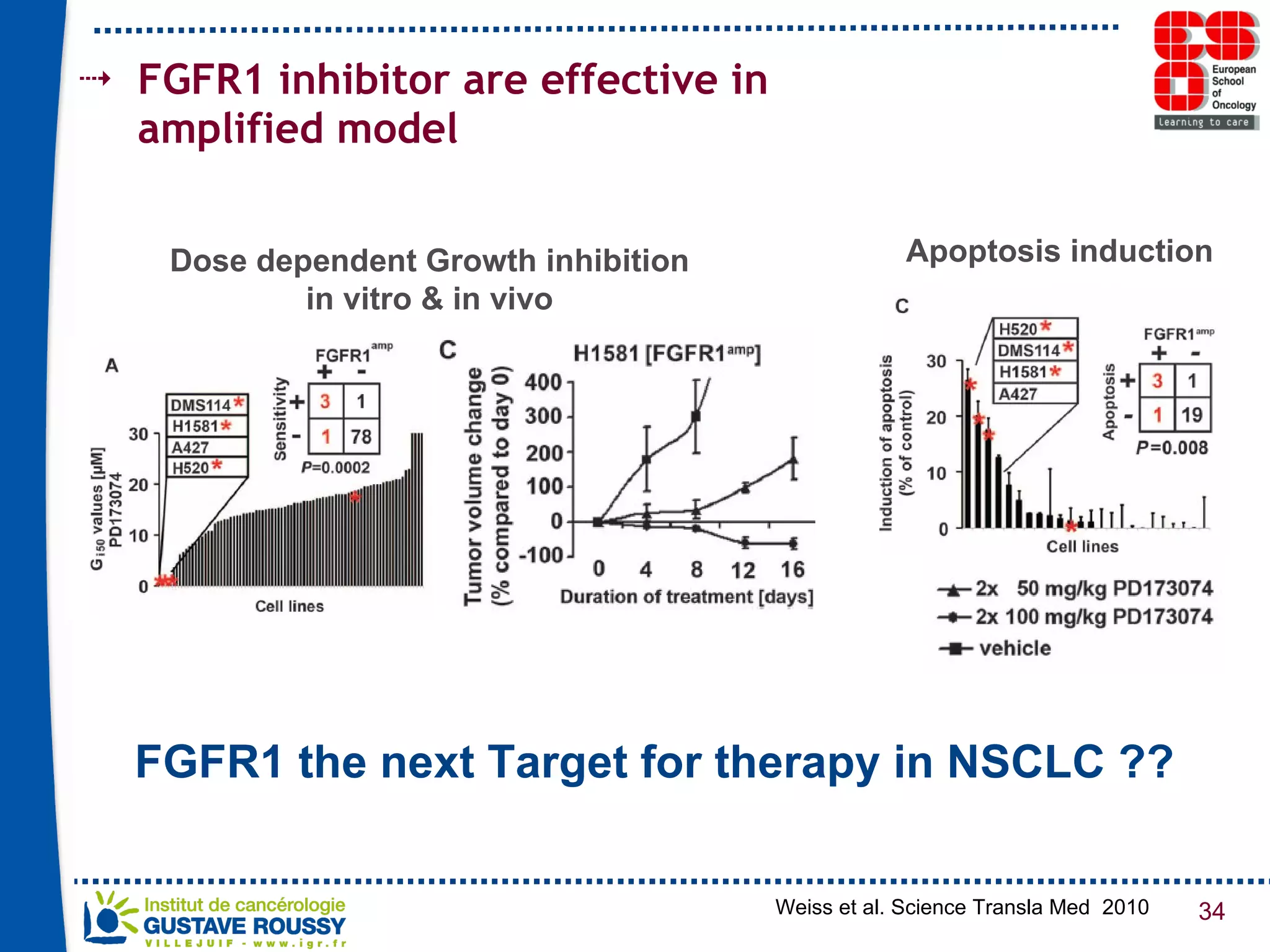 FGFR1 inhibitor are effective in amplified model FGFR1 the next Target for therapy in NSCLC ?? Dose dependent Growth inhibition in vitro & in vivo Apoptosis induction   Weiss et al. Science Transla Med  2010 