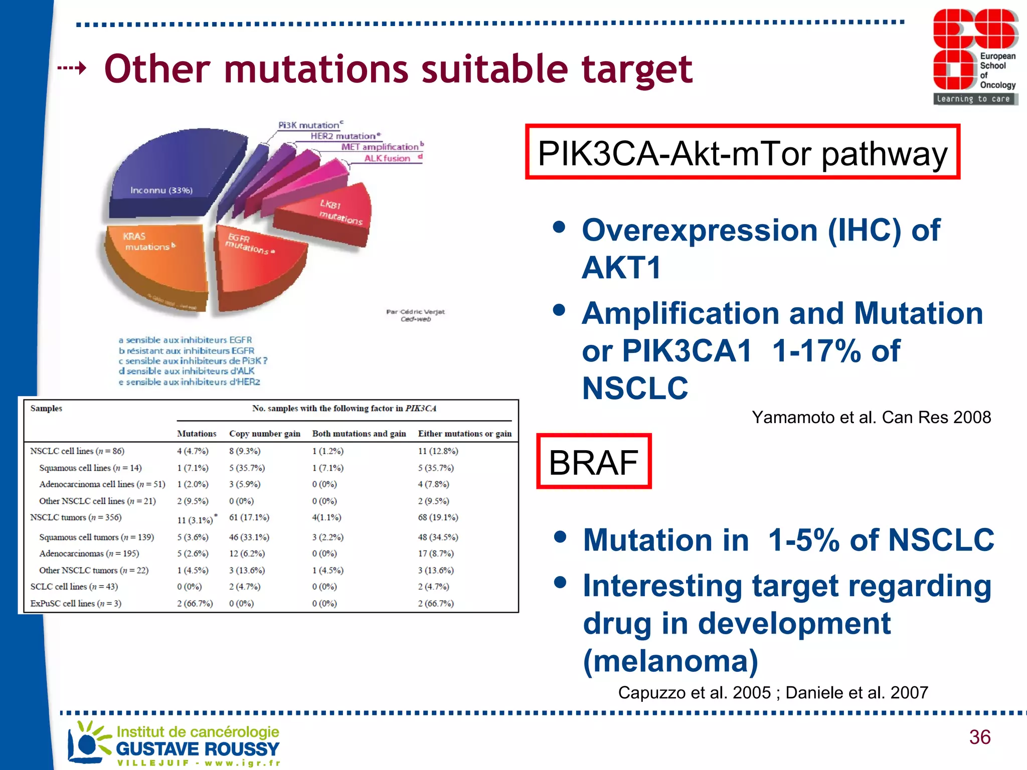 Other mutations suitable target PIK3CA-Akt-mTor pathway Mutation in  1-5% of NSCLC Interesting target regarding drug in development (melanoma) BRAF Overexpression (IHC) of AKT1  Amplification and Mutation or PIK3CA1  1-17% of NSCLC Capuzzo et al. 2005 ; Daniele et al. 2007 Yamamoto et al. Can Res 2008 