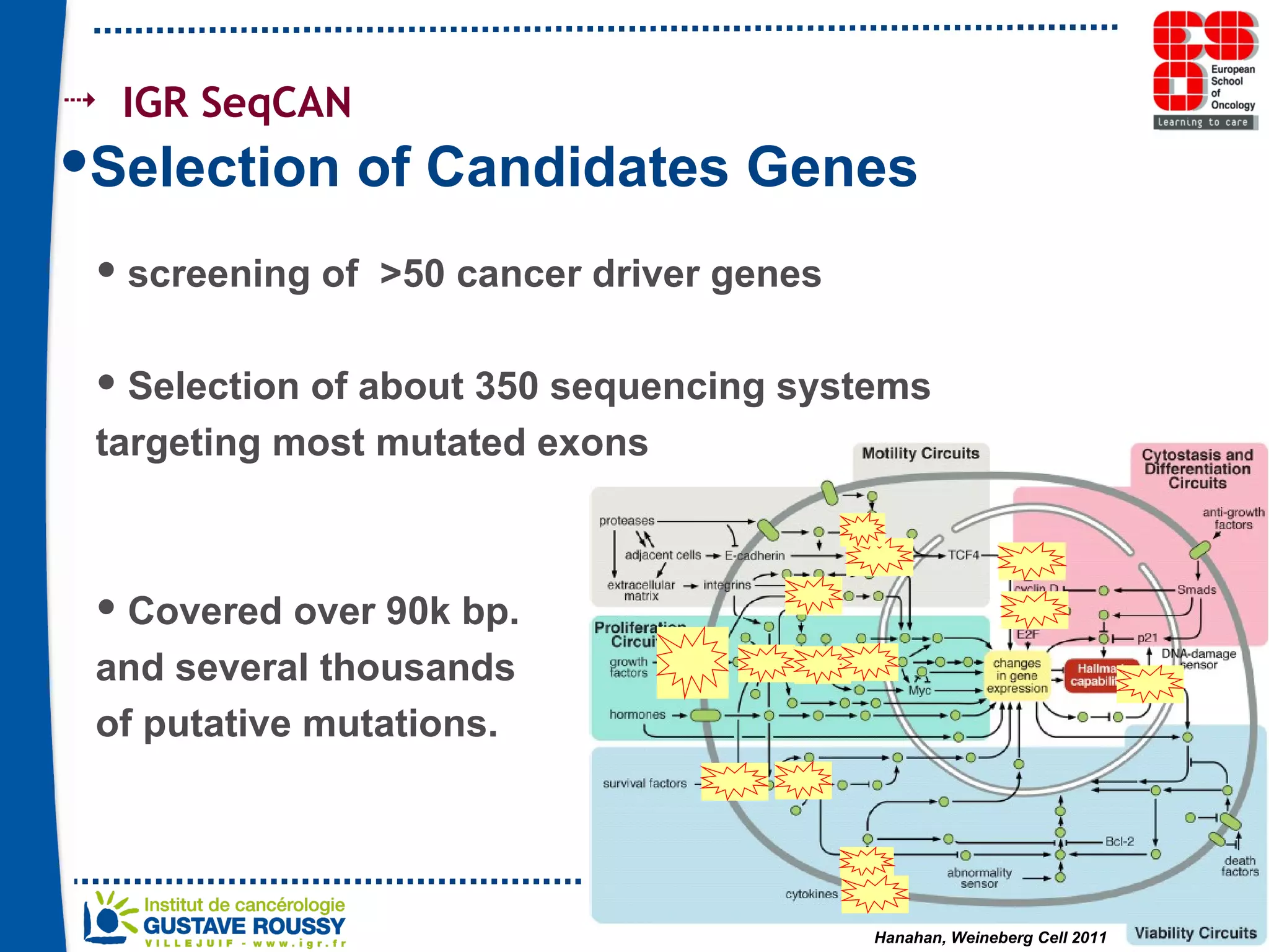 IGR SeqCAN  Selection of Candidates Genes screening of  >50 cancer driver genes  Selection of about 350 sequencing systems targeting most mutated exons  Covered over 90k bp. and several thousands  of putative mutations. 