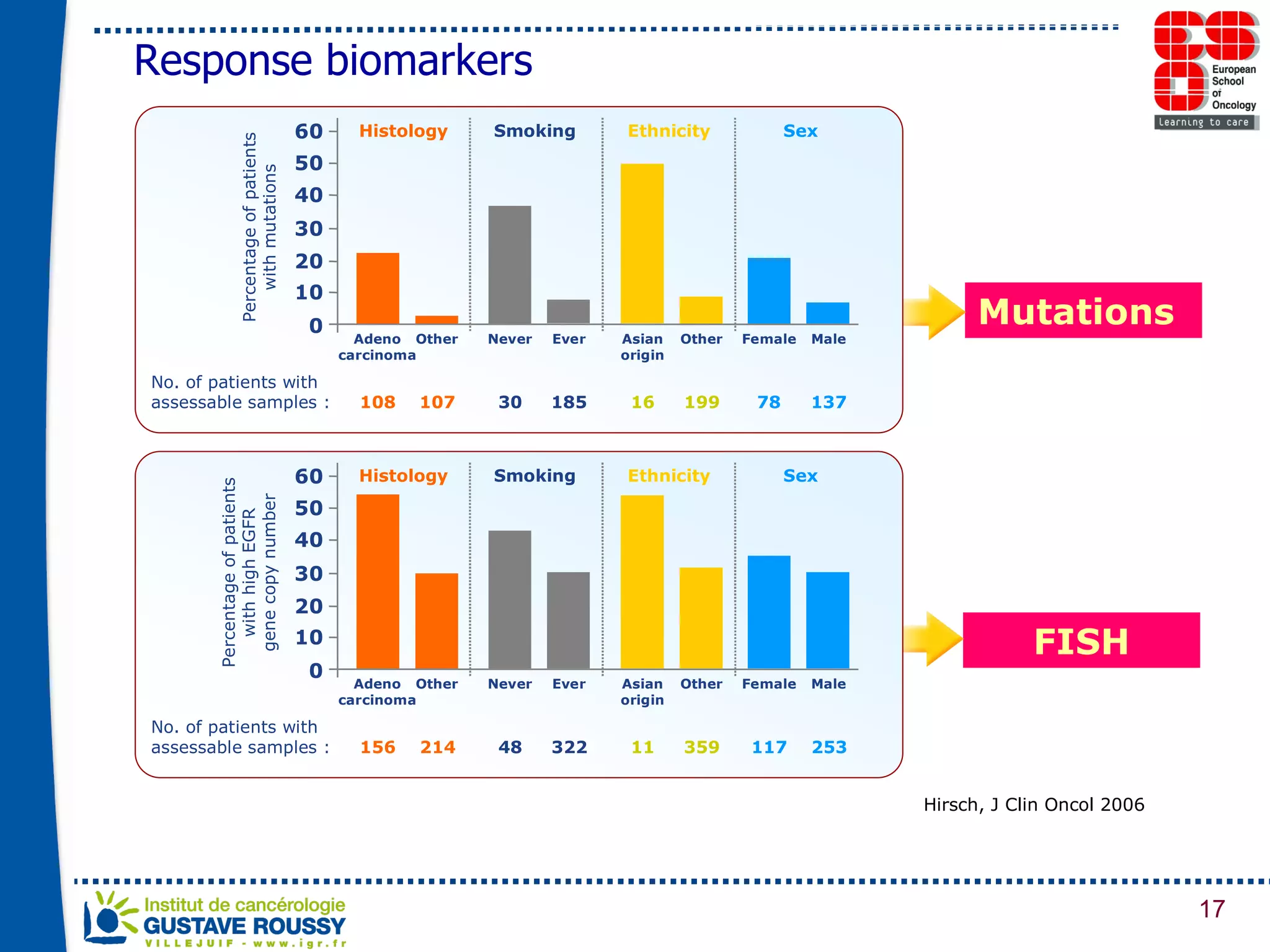 Mutations FISH Hirsch, J Clin Oncol 2006 Response biomarkers 