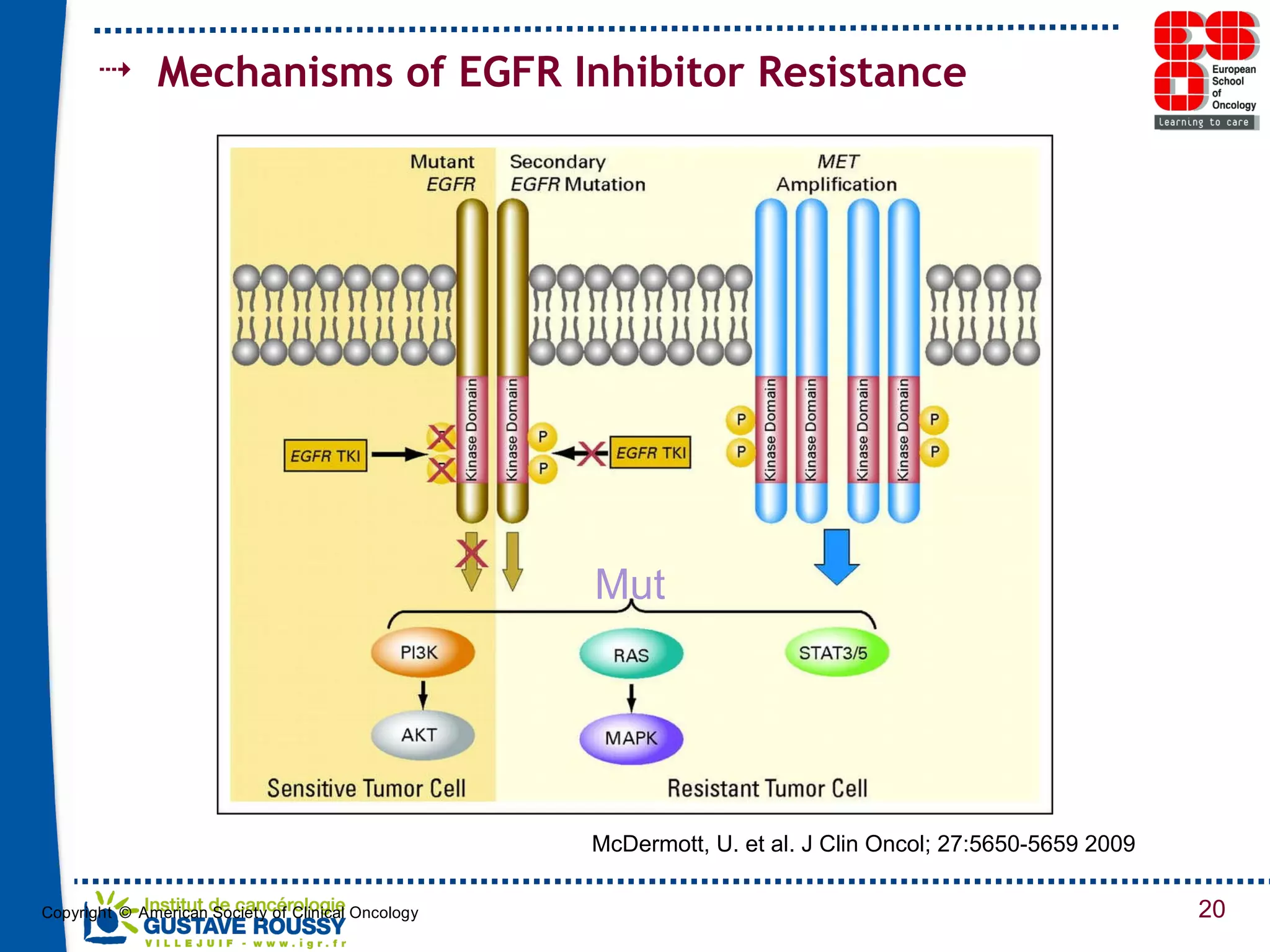 McDermott, U. et al. J Clin Oncol; 27:5650-5659 2009 Mechanisms of EGFR Inhibitor Resistance Mut 