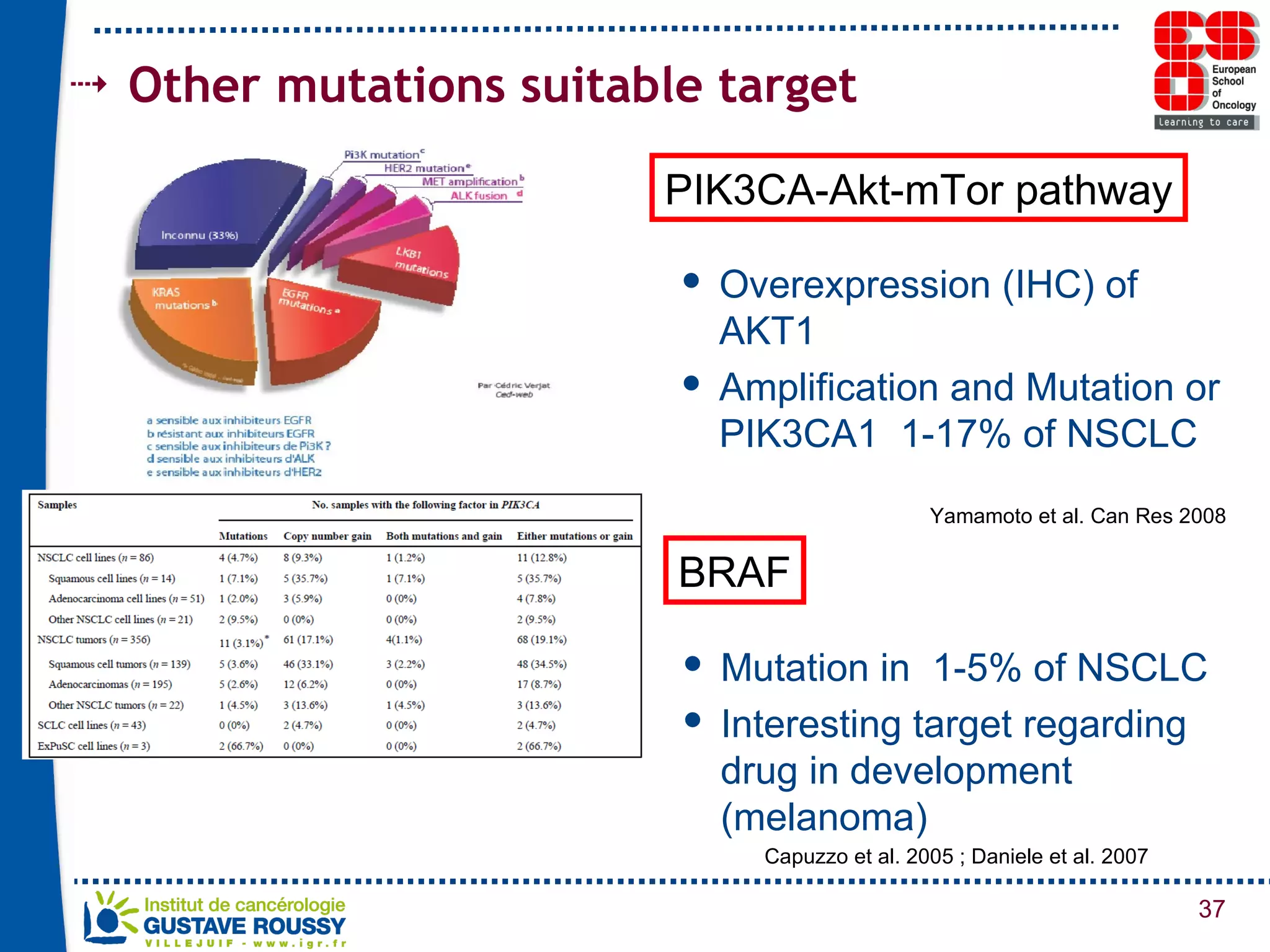 Other mutations suitable target PIK3CA-Akt-mTor pathway Mutation in  1-5% of NSCLC Interesting target regarding drug in development (melanoma) BRAF Overexpression (IHC) of AKT1  Amplification and Mutation or PIK3CA1  1-17% of NSCLC Capuzzo et al. 2005 ; Daniele et al. 2007 Yamamoto et al. Can Res 2008 