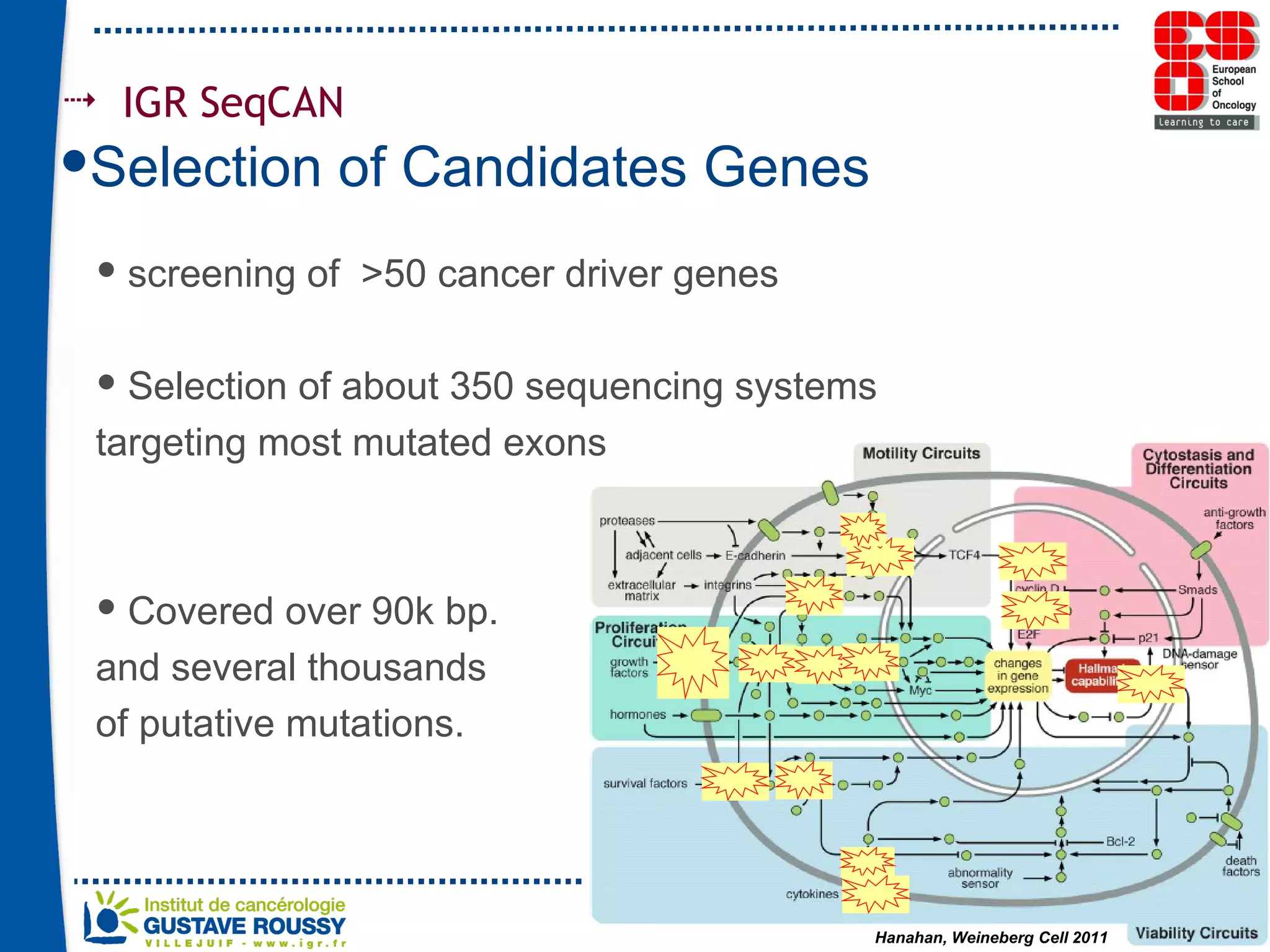 IGR SeqCAN  Selection of Candidates Genes screening of  >50 cancer driver genes  Selection of about 350 sequencing systems targeting most mutated exons  Covered over 90k bp. and several thousands  of putative mutations. 
