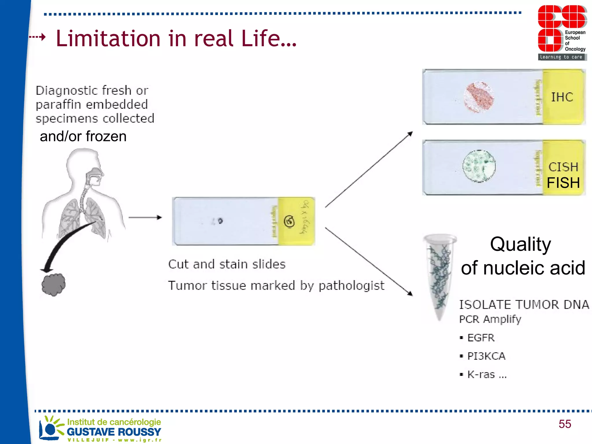 Limitation in real Life… Quality  of nucleic acid FISH and/or frozen 