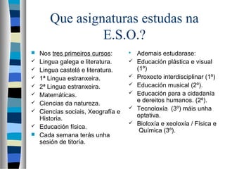Que asignaturas estudas na
E.S.O.?
 Nos tres primeiros cursos:
 Lingua galega e literatura.
 Lingua castelá e literatura.
 1ª Lingua estranxeira.
 2ª Lingua estranxeira.
 Matemáticas.
 Ciencias da natureza.
 Ciencias sociais, Xeografía e
Historia.
 Educación física.
 Cada semana terás unha
sesión de titoría.
 Ademais estudarase:
 Educación plástica e visual
(1º)
 Proxecto interdisciplinar (1º)
 Educación musical (2º).
 Educación para a cidadanía
e dereitos humanos. (2º).
 Tecnoloxía (3º) máis unha
optativa.
 Bioloxía e xeoloxía / Física e
Química (3º).
 