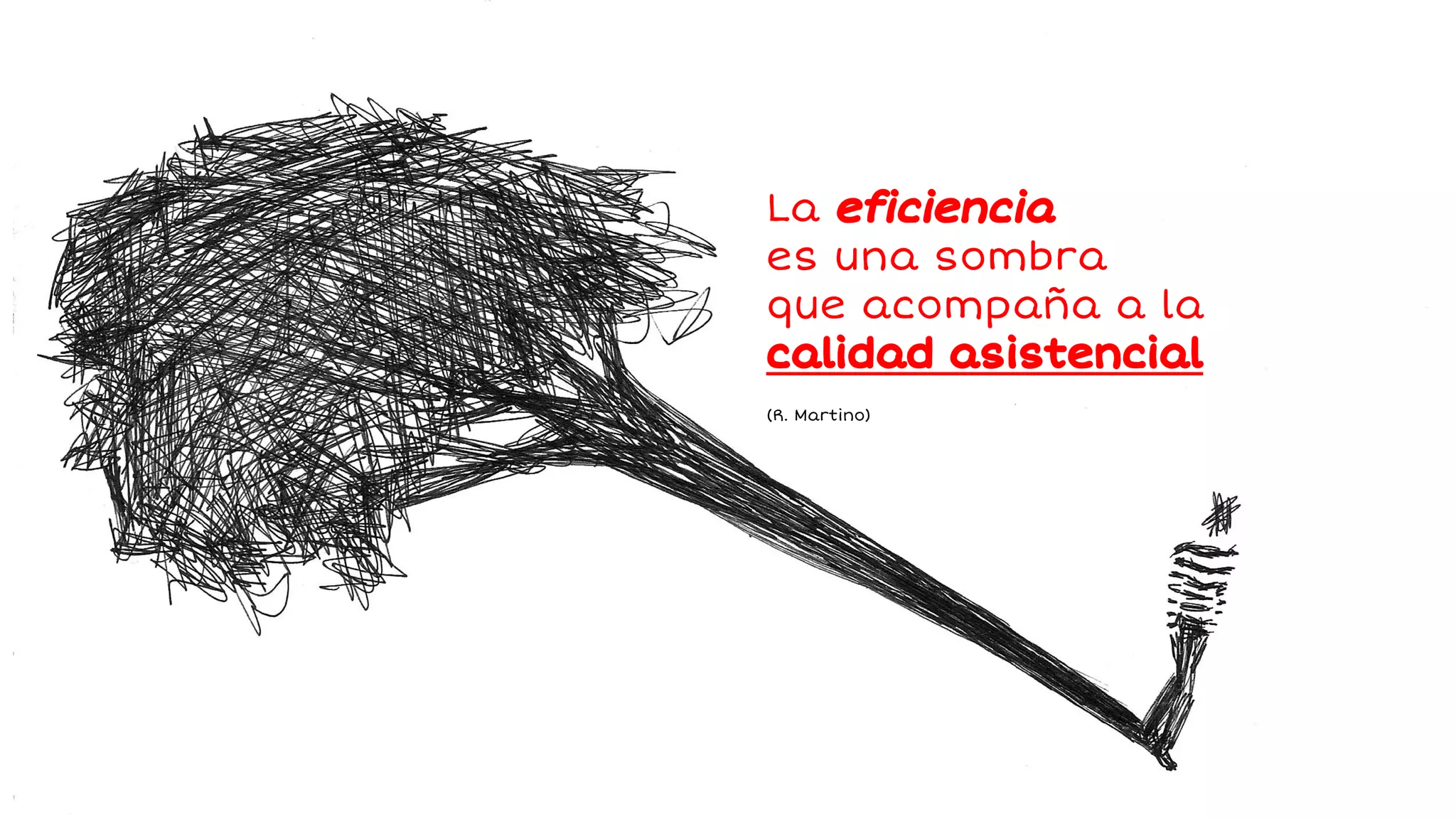 La eficiencia 
es una sombra 
que acompaña a la 
calidad asistencial 
(R. Martino) 
 