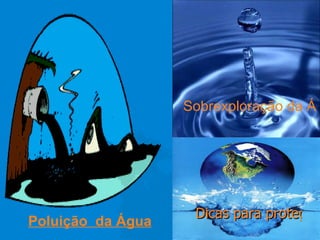 Poluição  da Água Sobrexploração da Água Dicas para proteger a Água 