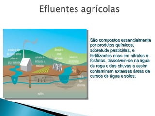 São compostos essencialmente por produtos químicos, sobretudo pesticidas, e fertilizantes ricos em nitratos e fosfatos, dissolvem-se na água da rega e das chuvas e assim contaminam extensas áreas de cursos de água e solos. 