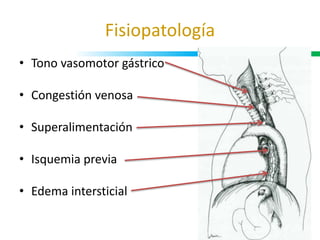 Fisiopatología
• Tono vasomotor gástrico
• Congestión venosa
• Superalimentación
• Isquemia previa
• Edema intersticial
 