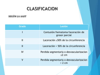 Grado descripción de la lesión
SEGÚN LA AAST
Grado Lesión
I Contusión/hematoma/laceración de
grosor parcial
II Laceración ≤50% de la circunferencia
II Laceración > 50% de la circunferencia
IV Perdida segmentaria o desvascularizacion
≤2 cm
V Perdida segmentaria o desvascularizacion
> 2 cm
 