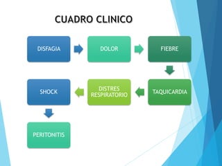 DISFAGIA DOLOR FIEBRE
TAQUICARDIA
DISTRES
RESPIRATORIO
SHOCK
PERITONITIS
 