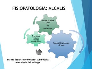 Saponificación de
Grasas
Trombosis
vascular
Intensa
inflamación
Desnaturaliza
ción
de
Proteínas
avanza lesionando mucosa- submucosa-
muscularis del esófago.
 