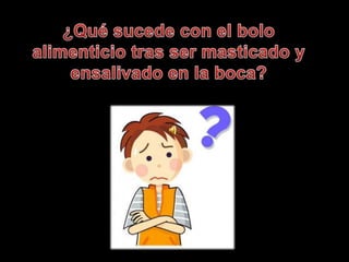 ¿Qué sucede con el bolo alimenticio tras ser masticado y ensalivado en la boca? 