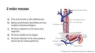 2 redes venosas
a) Una red venosa y otra submucosa.
b) Ramas perforantes desembocan una
amplia red paraesofágica:
c) El tercio superior en la vena cava
superior.
d) El tercio medio en la ácigos.
e) El tercio inferior en la vena porta a
través de las venas gástricas.
Pró Eduardo. (2013). Anatomía Clínica. Buenos Aires: Panamericana.
 