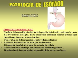 ESOFAGITIS POR REFLUJO.
El reflujo del contenido gástrico hacia la porción inferior del esófago es la causa
más frecuente de esofagitis. En su producción participan muchos factores, peor
conocidos de lo que su nombre implica:
• Menor eficacia de los mecanismos antirreflujo esofágicos.
• Presencia de una hernia de hiato por deslizamiento.
• Eliminación insuficiente o lenta de material de reflujo.
• Vaciado lento del estómago con aumento de contenido gástrico.
• Disminución de la capacidad de reparación de la mucosa esofágica.
 