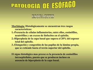 Morfología: Histológicamente se encuentran tres rasgos
característicos:
1.-Presencia de células inflamatorias, entre ellos, eosinófilos,
neutrófilos y un exceso de linfocitos en el epitelio.
2.-Hiperplasia de la capa basal que supera el 20% del espesor
total del epitelio.
3.-Elongación y congestión de las papilas de la lámina propia,
que se extiende hasta el tercio superior del epitelio.
El signo histológico mas precoz es la presencia de eosinófilos
intraepiteliales, puesto que se producen incluso en
ausencia de hiperplasia de la capa basal.
 
