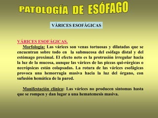 VÀRICES ESOFÀGICAS
VÁRICES ESOFÁGICAS.
Morfología: Las várices son venas tortuosas y dilatadas que se
encuentran sobre todo en la submucosa del esófago distal y del
estómago proximal. El efecto neto es la protrusión irregular hacia
la luz de la mucosa, aunque las várices de las piezas qui-rúrgicas o
necrópsicas están colapsadas. La rotura de las várices esofágicas
provoca una hemorragia masiva hacia la luz del órgano, con
sufusión hemática de la pared.
Manifestación clínica: Las várices no producen síntomas hasta
que se rompen y dan lugar a una hematemesis masiva.
 
