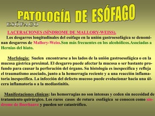 LACERACIONES (SÍNDROME DE MALLORY-WEISS).
Los desgarros longitudinales del esófago en la unión gastroesofágica se denomi-
nan desgarros de Mallory-Weiss.Son más frecuentes en los alcohólicos.Asociadas a
Hernias del hiato.
Morfología: Suelen encontrarse a los lados de la unión gastroesofágica o en la
mucosa gástrica proximal. El desgarro puede afectar la mucosa o ser bastante pro-
fundo para causar la perforación del órgano. Su histología es inespecífica y refleja
el traumatismo asociado, junto a la hemorragia reciente y a una reacción inflama-
toria inespecífica. La infección del defecto mucoso puede evolucionar hacia una úl-
cera inflamatoria o a la mediastinitis.
Manifestaciones clínicas: las hemorragias no son intensas y ceden sin necesidad de
tratamiento quirúrgico. Los raros casos de rotura esofágica se conocen como sín-
drome de Boerhaave y pueden ser catastrófico.
 