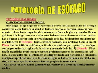 TUMORES MALIGNOS.
CARCINOMA EPIDERMOIDE.
Morfología: al igual que los carcinomas de otras localizaciones, los del esófago
comienzan como lesiones in situ. Las lesiones precoces aparecen como engrosa-
miento o elevaciones pequeñas de la mucosa, en forma de placa y de color blanco
grisáceo. A lo largo de meses o años estas lesiones se convierten en masas tumora-
Les y pueden abarcar toda la circunferencia de la luz. Se describen tres patrones
morfológicos: 1) Fungoide: lesión exofílica polipoide que protruye hacia la luz. 2)
Plano: Forma infiltrante difusa que tiende a extenderse por la pared del esófago,
con engrosamiento y rigidez de la misma y estenosis de la luz. 3) Ulcerado: Ulce-
ración neoplásica necrótica que penetra profundamente en las estructuras veci-
nas. Los pacientes más afortunados son diagnosticados en el estadio de carcinoma
esofágico superficial, en el que la lesión maligna se halla confinada al epitelio (in
situ) o invade superficialmente la lámina propia o la submucosa.
Casi todos los carcinomas epidermoides, están bien o moderadamente diferen-
ciados.
 