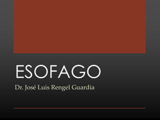 ESOFAGO
Dr. José Luis Rengel Guardia
 