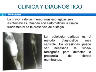 CLINICA Y DIAGNOSTICO
9   Membranas
    esofagicas
    La mayoria de las membranas esofagicas son
    asintomaticas. Cuando son sintomaticas la clinica
    fundamental es la presencia de disfagia.

                             La radiologia baritada es el
                             metodo      diagnostico    mas
                             sensible. En ocasiones puede
                             ser    necesaria    la  video-
                             radiografia para detectar la
                             precencia       de      ciertas
                             membranas.
 