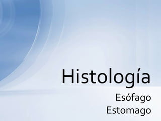 Esófago Estomago Histología 