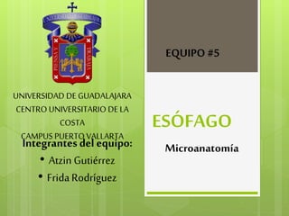 ESÓFAGO
MicroanatomíaIntegrantes del equipo:
• Atzin Gutiérrez
• FridaRodríguez
UNIVERSIDAD DE GUADALAJARA
CENTRO UNIVERSITARIO DE LA
COSTA
CAMPUS PUERTO VALLARTA
EQUIPO #5
 