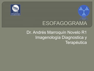 Dr. Andrés Marroquín Novelo R1
Imagenología Diagnostica y
Terapéutica
 