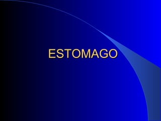 ESTOMAGOESTOMAGO
 
