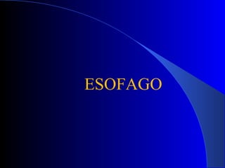 ESOFAGO
 