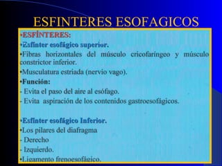 ESFINTERES ESOFAGICOS
 