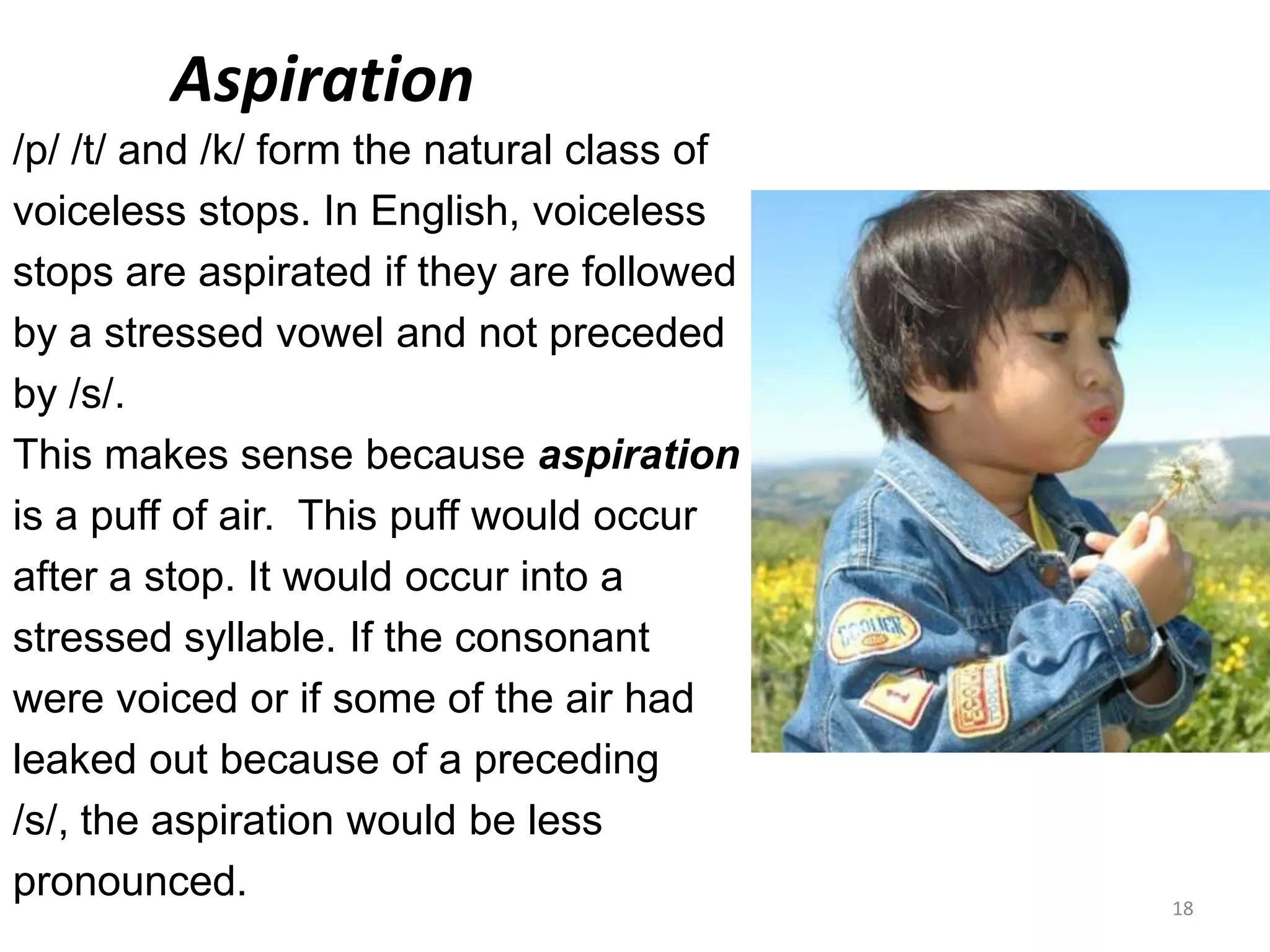       Aspiration/p/ /t/ and /k/ form the natural class ofvoiceless stops. In English, voiceless stops are aspirated if they are followed by a stressed vowel and not preceded by /s/.This makes sense because aspirationis a puff of air.  This puff would occur after a stop. It would occur into a stressed syllable. If the consonant were voiced or if some of the air had leaked out because of a preceding/s/, the aspiration would be less pronounced.18