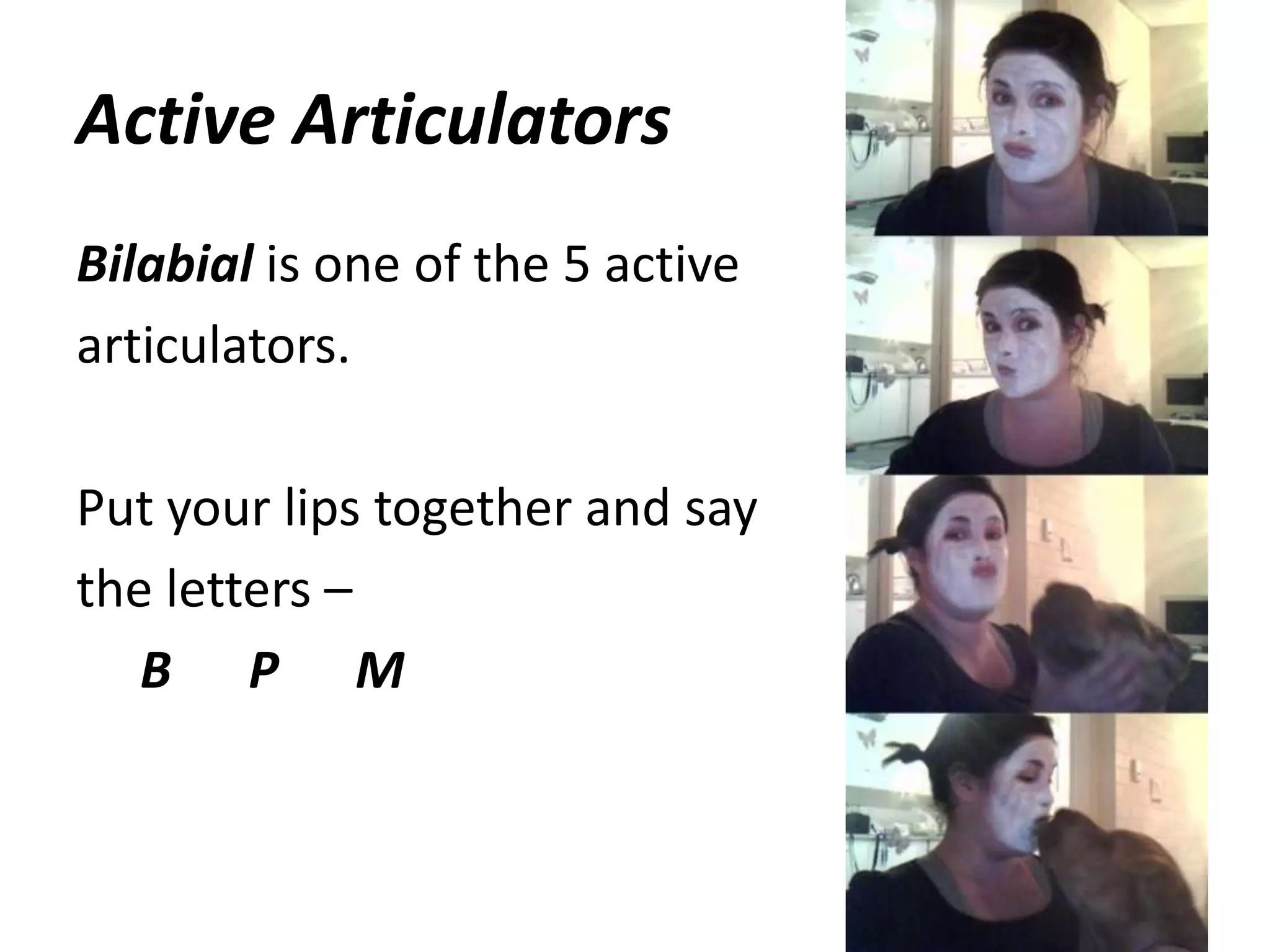 Active ArticulatorsBilabial is one of the 5 activearticulators.Put your lips together and saythe letters –B      P      M21