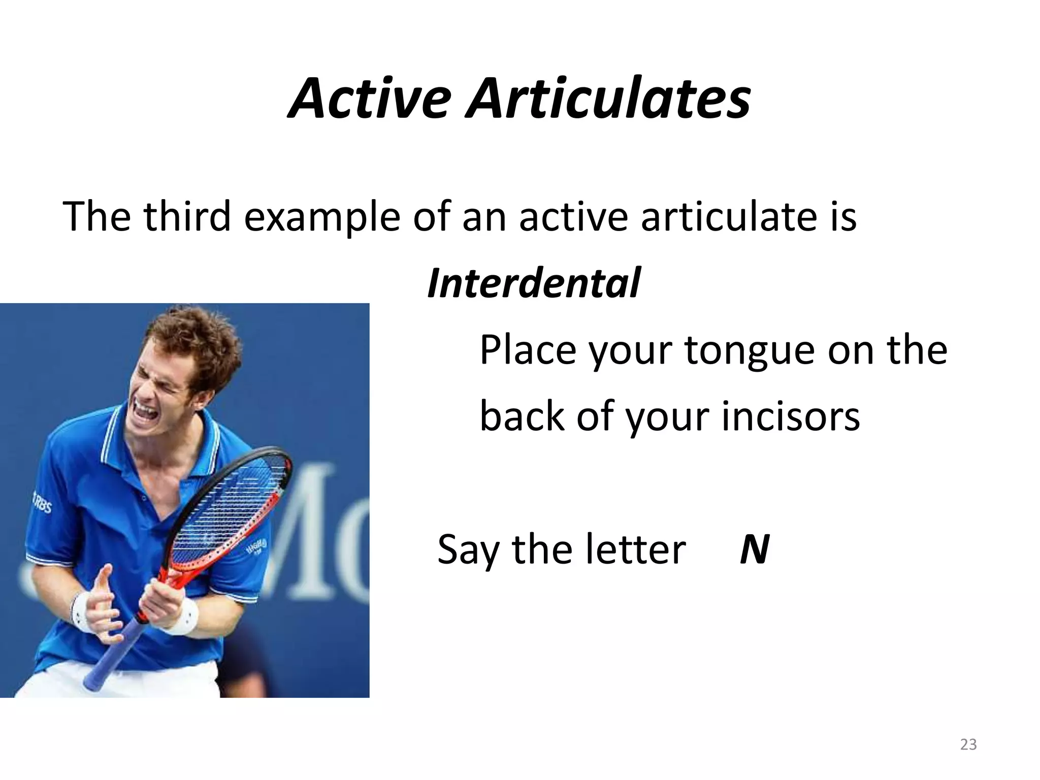 Active Articulates The third example of an active articulate is     Interdental					Place your tongue on the					back of your incisors				      Say the letter     N23