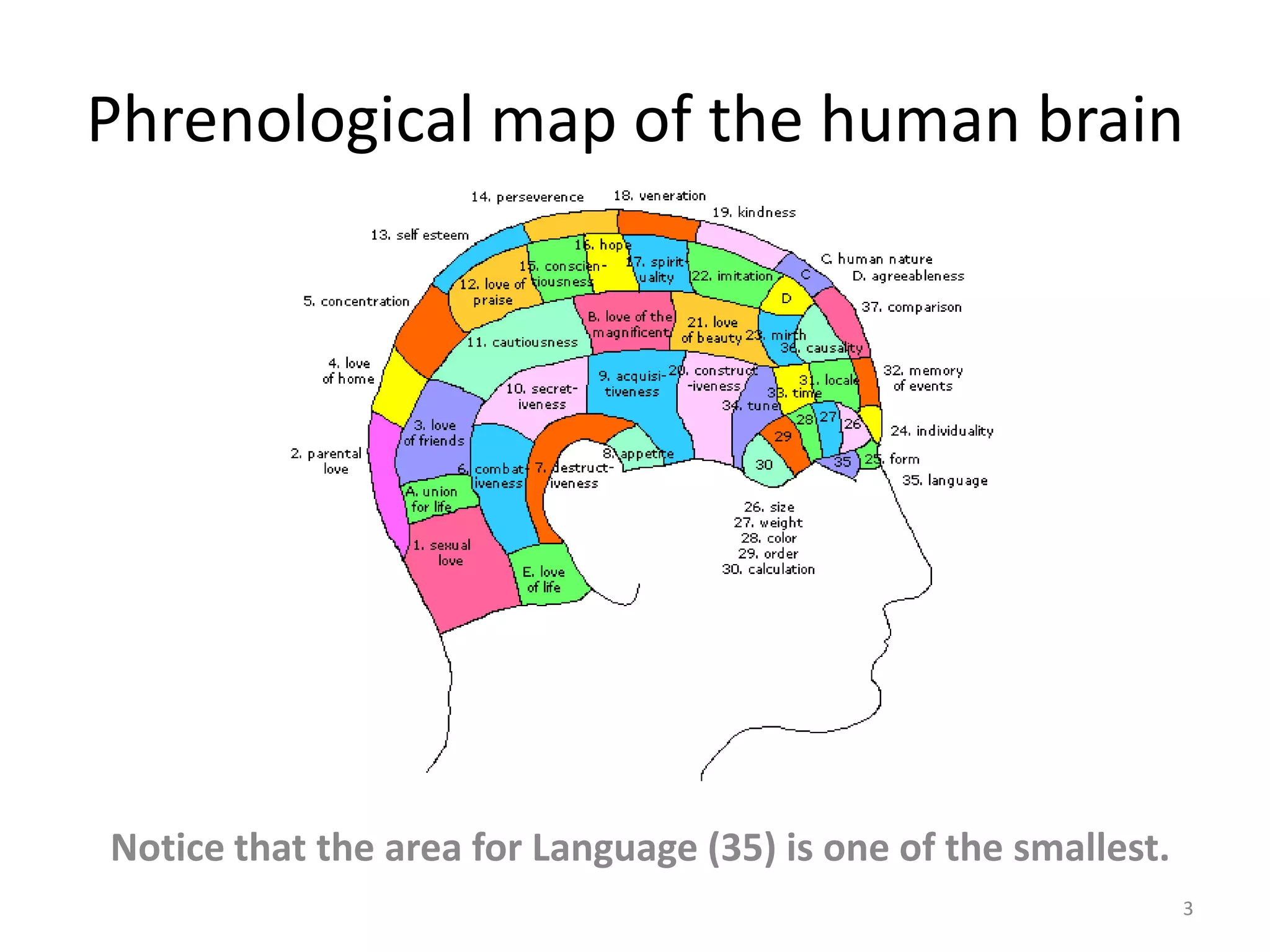 Phrenological map of the human brain3Notice that the area for Language (35) is one of the smallest.