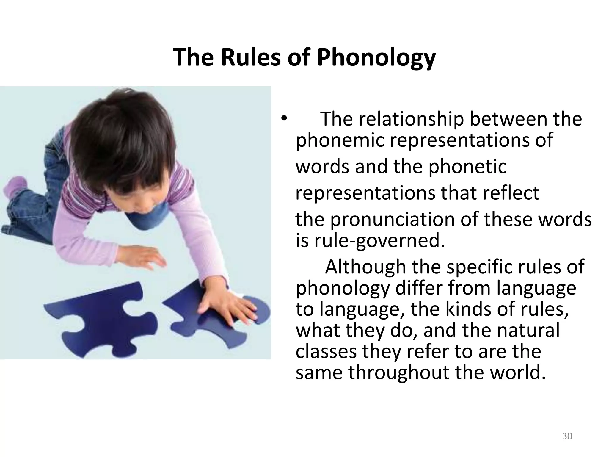 The Rules of Phonology     The relationship between the phonemic representations of   words and the phonetic   representations that reflect   the pronunciation of these words is rule-governed.          Although the specific rules of phonology differ from language to language, the kinds of rules, what they do, and the natural classes they refer to are the same throughout the world.30