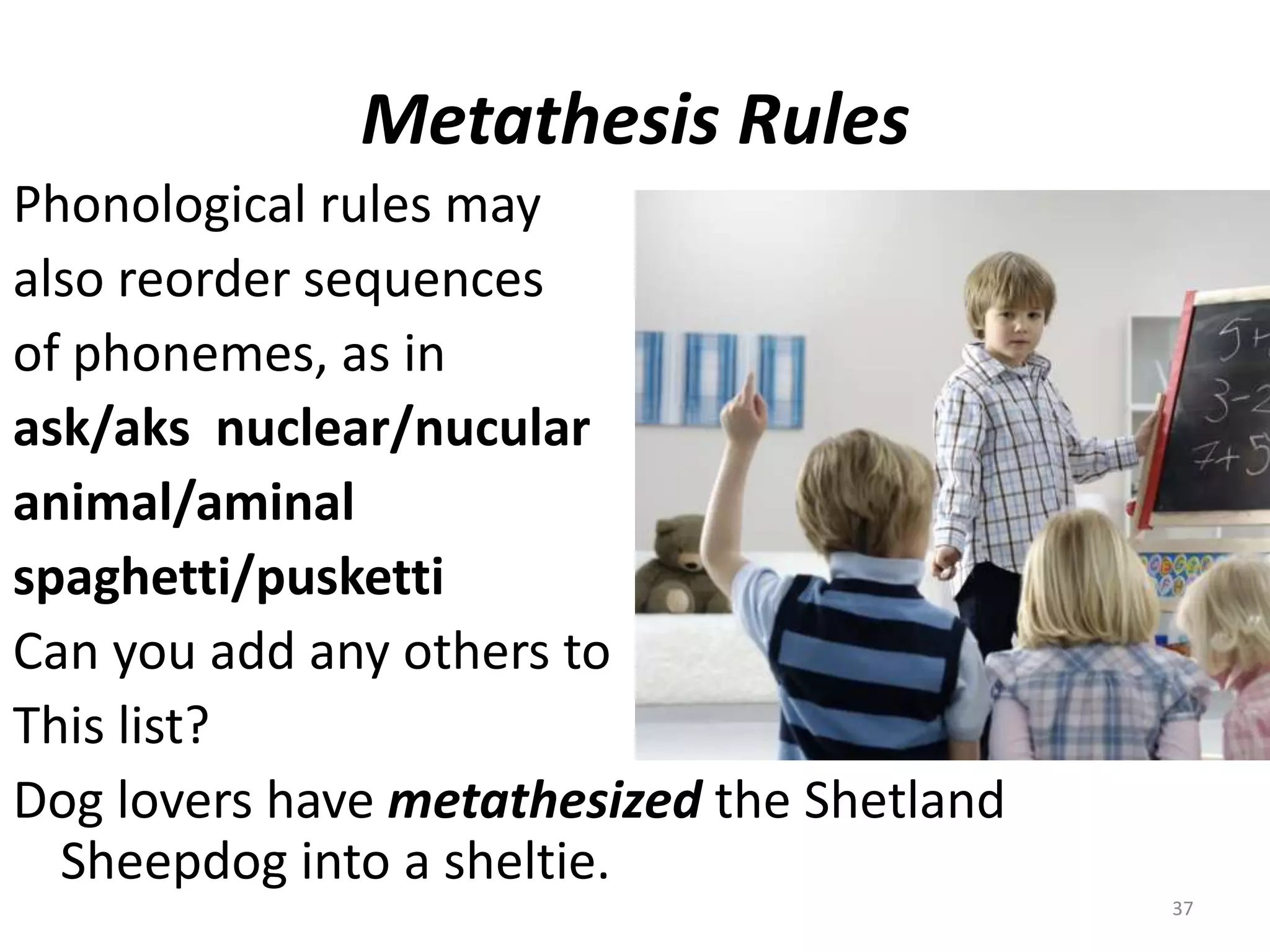 Metathesis RulesPhonological rules may also reorder sequences of phonemes, as inask/aks  nuclear/nucularanimal/aminalspaghetti/puskettiCan you add any others toThis list?Dog lovers have metathesized the Shetland Sheepdog into a sheltie.37