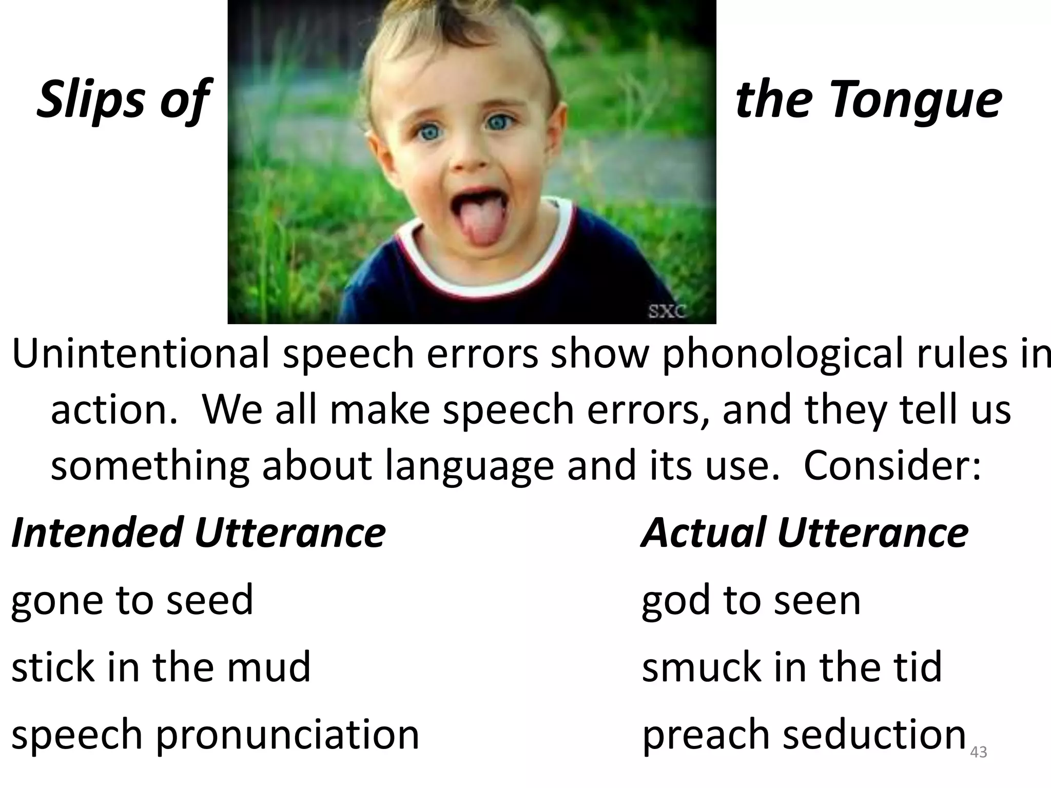 Slips of                                        the TongueUnintentional speech errors show phonological rules in action.  We all make speech errors, and they tell us something about language and its use.  Consider:Intended Utterance			Actual Utterancegone to seed				god to seenstick in the mud				smuck in the tidspeech pronunciation			preach seduction43