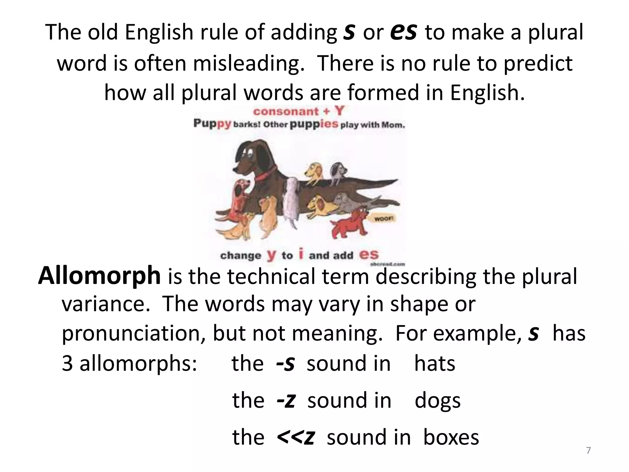 The old English rule of adding s or esto make a plural word is often misleading.  There is no rule to predict how all plural words are formed in English. Allomorph is the technical term describing the plural variance.  The words may vary in shape or pronunciation, but not meaning.  For example, s  has 3 allomorphs:      the  -s  sound in    hats			 the  -z  sound in    dogs			 the  <<z  sound in  boxes7