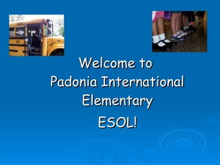 Welcome to  Padonia International Elementary ESOL! 