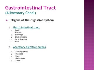  Organs of the digestive system
1. Gastrointestinal tract
 Mouth
 Pharynx
 Esophagus
 Small intestine
 Large intestine
 Anus
2. Accessory digestive organs
 Salivary glands
 Pancreas
 Liver
 Gallbladder
 Teeth
Gastrointestinal Tract
(Alimentary Canal)
 