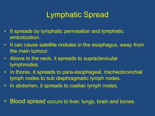 Lymphatic Spread
• It spreads by lymphatic permeation and lymphatic
embolization.
• It can cause satellite nodules in the esophagus, away from
the main tumour.
• Above in the neck, it spreads to supraclavicular
lymphnodes.
• In thorax, it spreads to para-esophageal, tracheobronchial
lymph nodes to sub diaphragmatic lymph nodes.
• In abdomen, it spreads to coeliac lymph nodes.
• Blood spread occurs to liver, lungs, brain and bones.
 