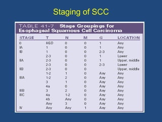 Staging of SCC
 